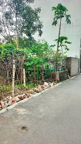 An Lạc Trâu Quỳ - 80M Mt 6M Ngõ Thoáng- Tt Học Viện Nông Nghiệp