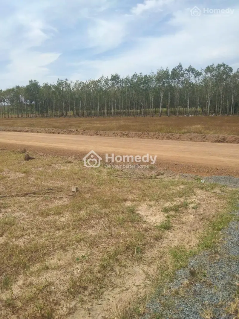Bán Đất Lộc Ninh Bình Phước, Đất Có Thổ Cư Sổ Hồng, 188M2