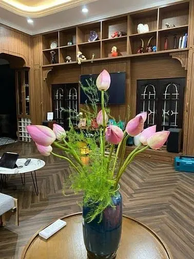 🌟Vip_Phố Cổ_Hàng Chiếu_Hoàn Kiếm_Lô Góc_140M2 Nhà Đẹp Chỉ 7,2 Tỷ🌟