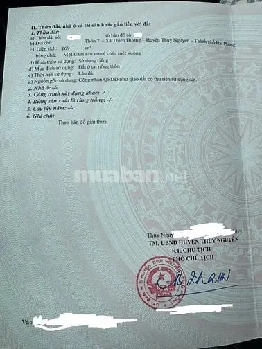 Bán 8M Đất Mặt Ngõ Cạnh Chợ Trịnh Xá