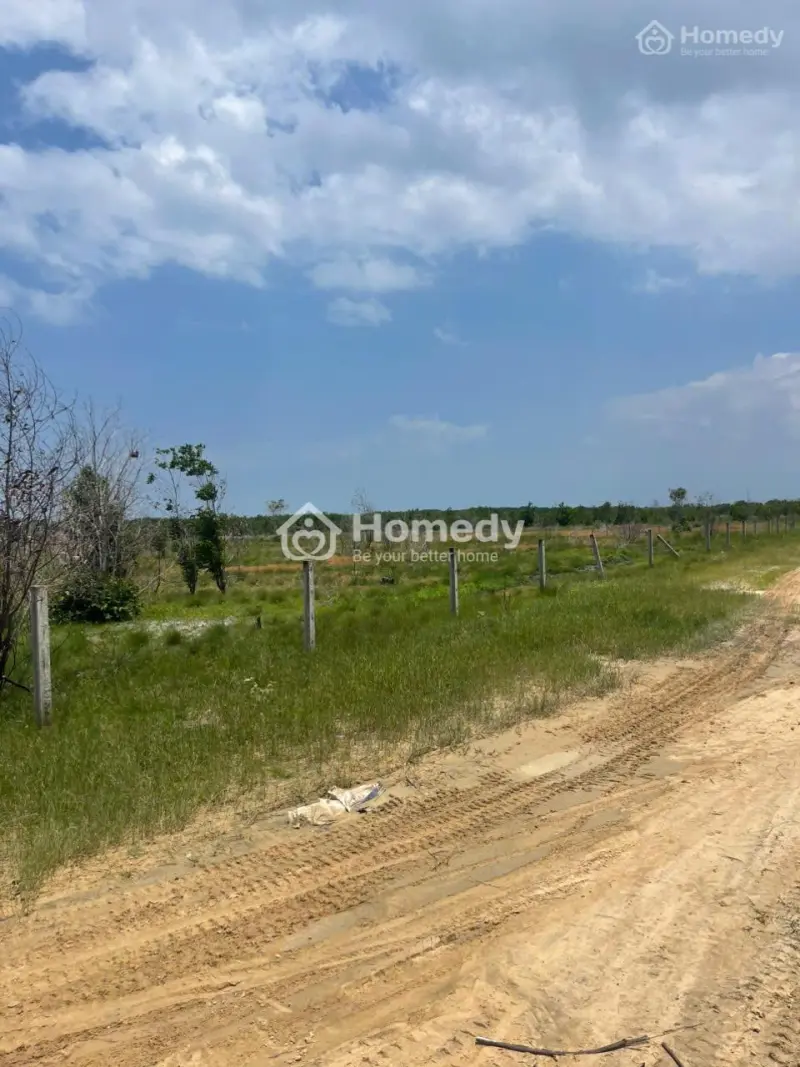 Bán 5949M2 Đất Đường Số 1 - Tân Bình - Lagi Giá Ngộp 1.14 Tỷ/ Sào Gần Biển