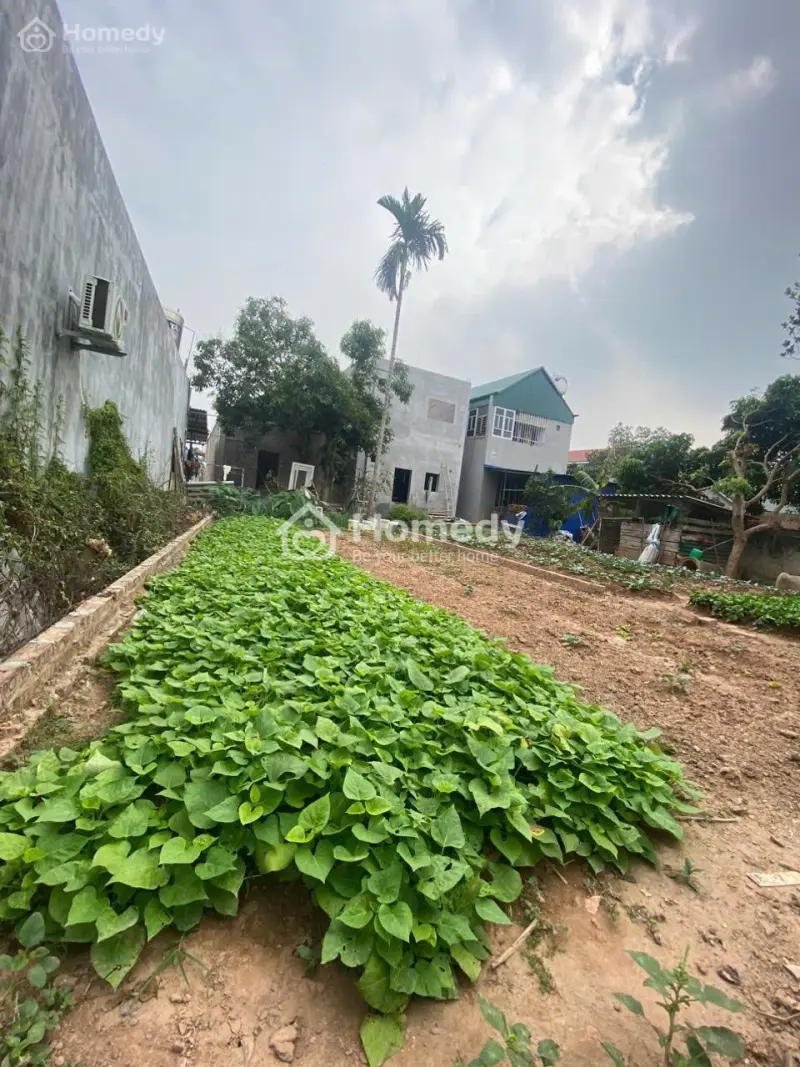 Cần Thanh Khoản Nhanh 80M Đất Hiền Ninh. Full Thổ Cư. Mt 5,5M. Đường 4M. Giá 2,16 Tỷ Có Thương
