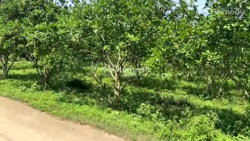Chỉ Từ Hơn 100 Triệu Sở Hữu Ngay Lô Đất Thổ Cư Cực Đẹp Tại Yên Thủy, Hòa Bình