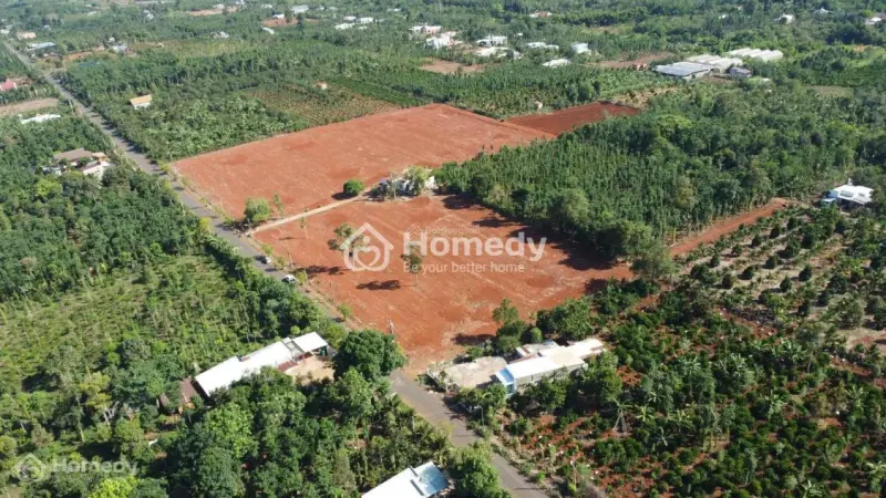 Bán Gấp Lô Đất Cực Đẹp Giá Chỉ 800 Triệu Ngay Trung Tâm Xã Quảng Thành: Chủ Đang Kẹt Tiền