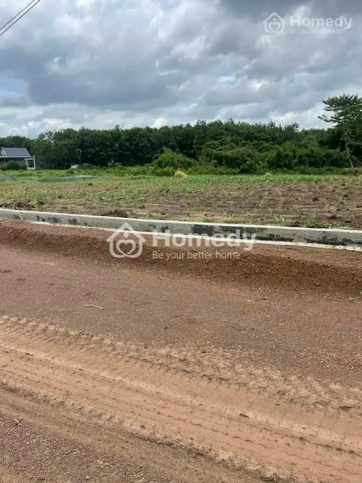 Kẹt Tiền Ngân Hàng Xã Lỗ Lô Đất 1000M2 Tc 400M2 Giá 290Tr