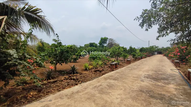 Chính Chủ Cần Bán Đất Sào Tại Bàu Sầm, Bàu Trâm, Long Khánh, Đồng Nai