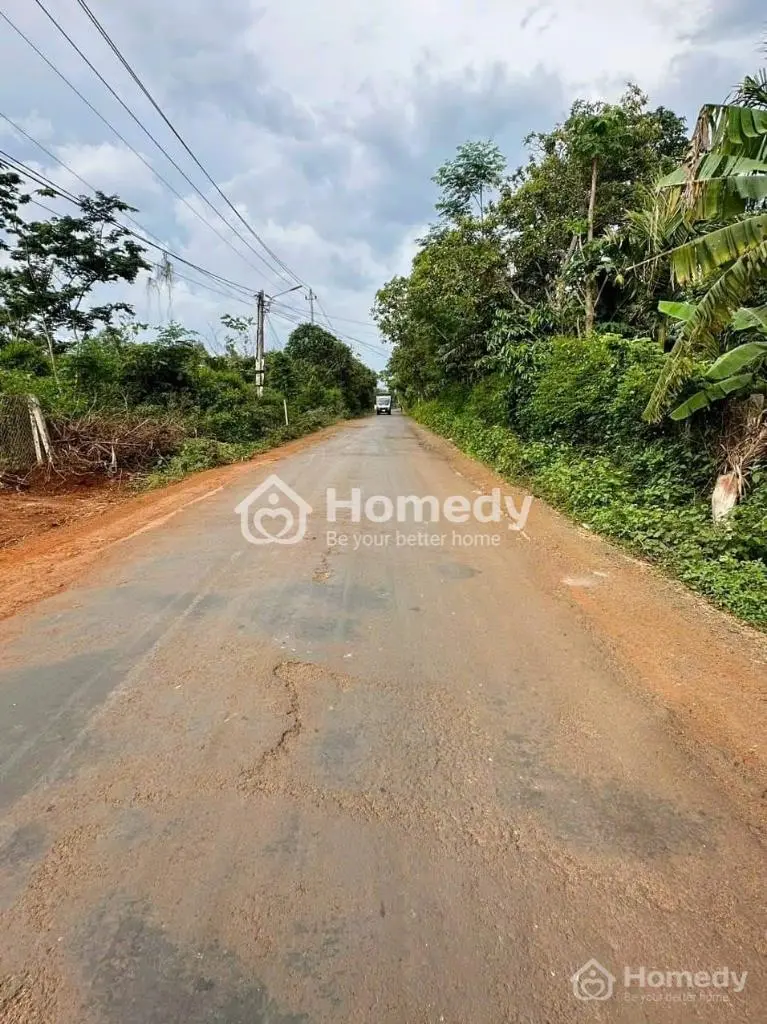 6029144 ảnh đại diện 1
