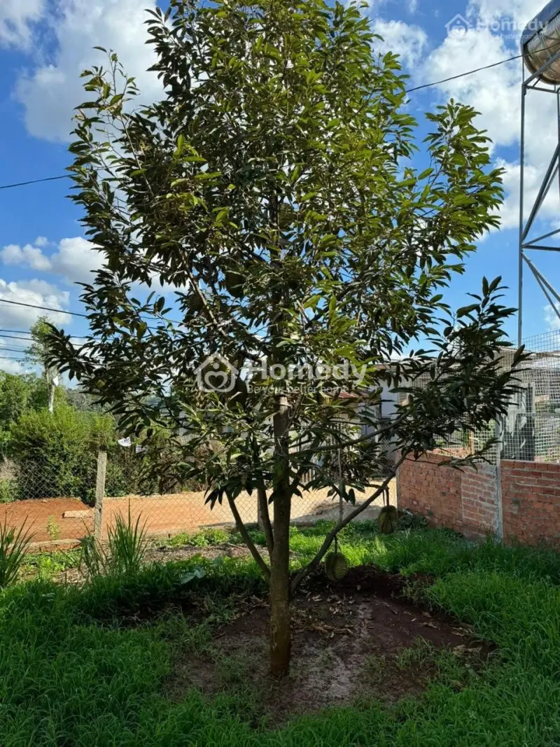 Bán Đất K9 Tân Lợi Thành Phố Buôn Ma Thuột Vvvvvvv