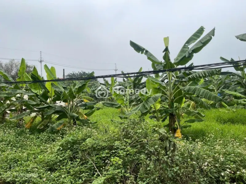 Cần Bán Lô Đất Đẹp Mặt Sông Hoà Bình - Cơ Hội Vàng Cho Các Nhà Đầu Tư