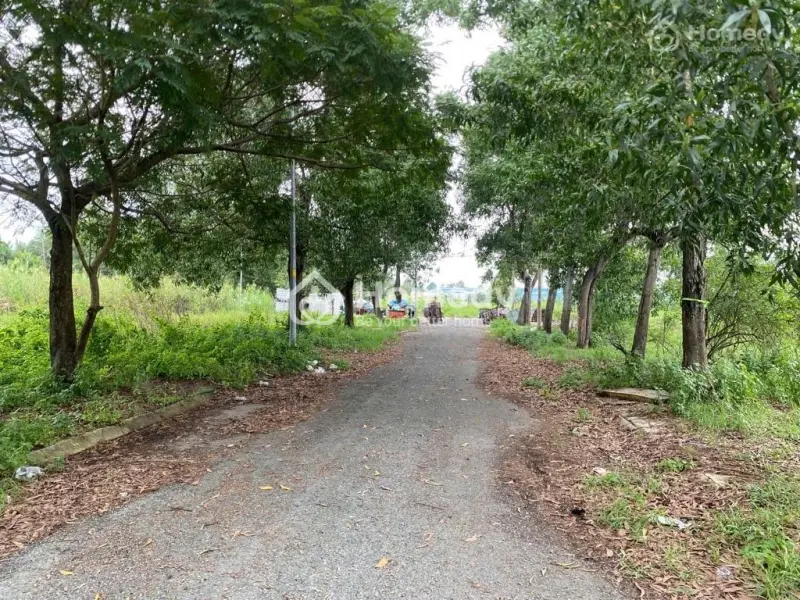 🌟Bán Đất Khu Dân Cư Long Thới, Nhà Bè - Diện Tích 300M2, Giá Tốt