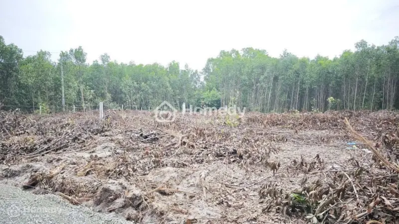 Bán 1033M2 Đất Odt Tân Phước - Tx Lagi Giá Ngộp 950 Triệu Sổ Riêng