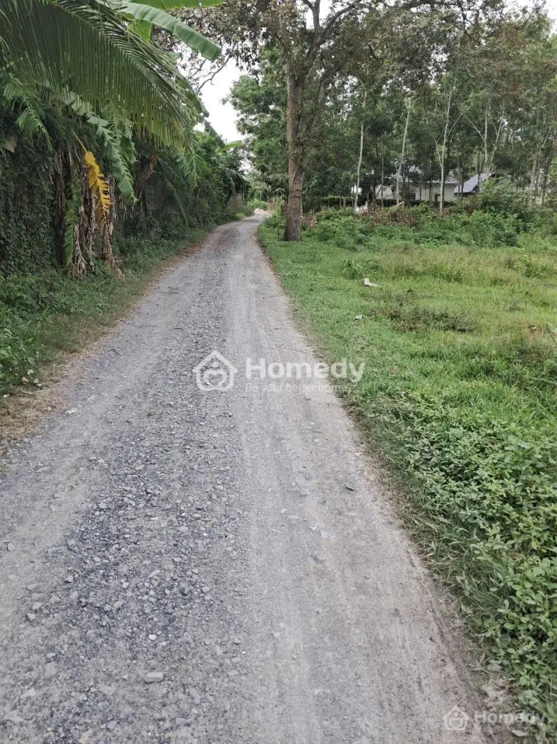 50Triệu Mua Ngay Nền Đất Mặt Tiền Đt787 Giao Đường Hcm Phường Lộc Hưng Sổ Hồng