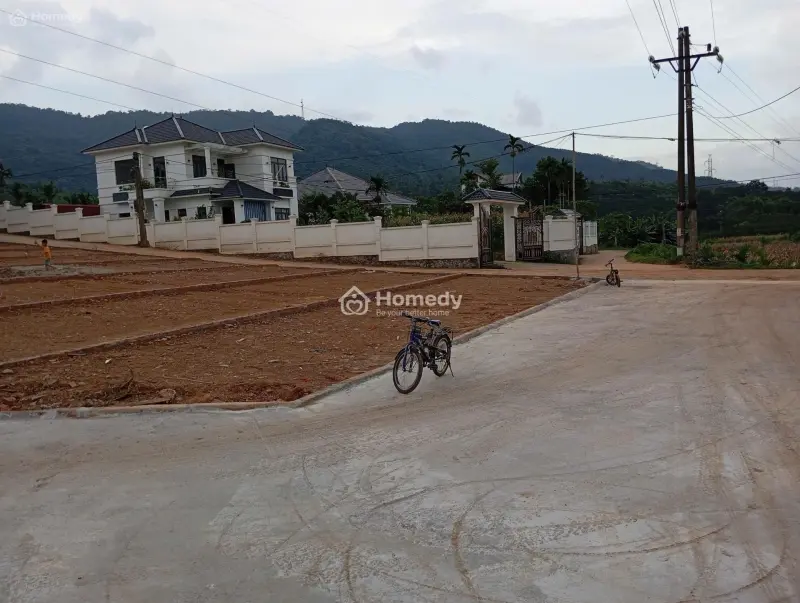 6028818 ảnh đại diện 1