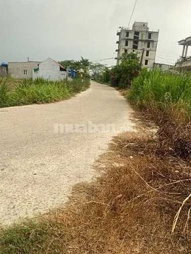Bán 120M2 Thổ Cư , Xã Hoà Khánh Đông, Giá 650 Triệu, Đức Hoà , Long An