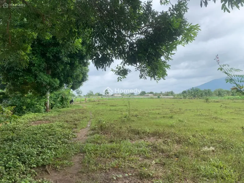 Bấn Đất View Suối Thích Hợp Làm Nghỉ Dưỡng Xã Suối Cát Huyện Xuân Lộc