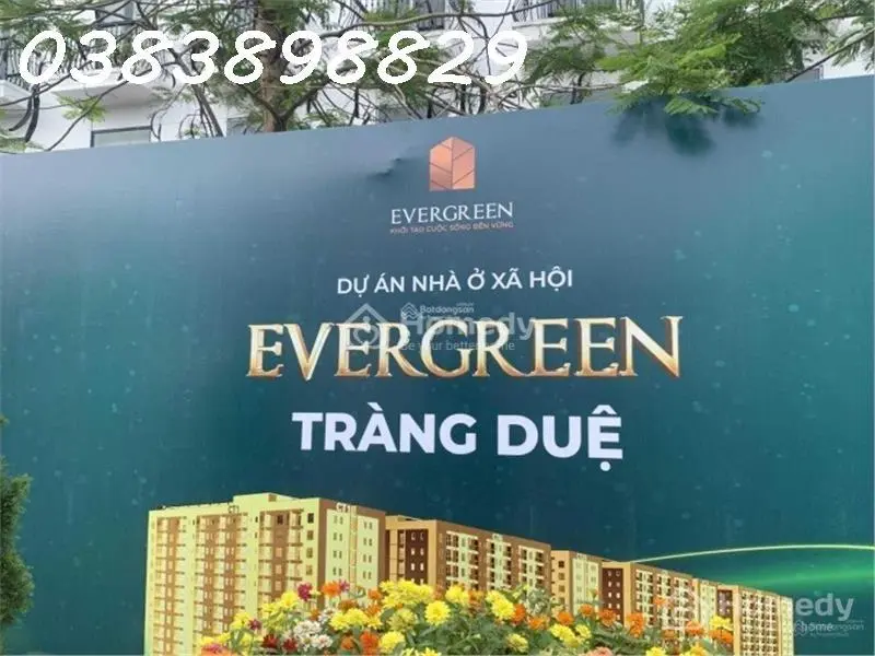Bán Nhà Ở Xã Hội Evergreen Tràng Duệ, An Dương, Hải Phòng - 1 Phòng Ngủ