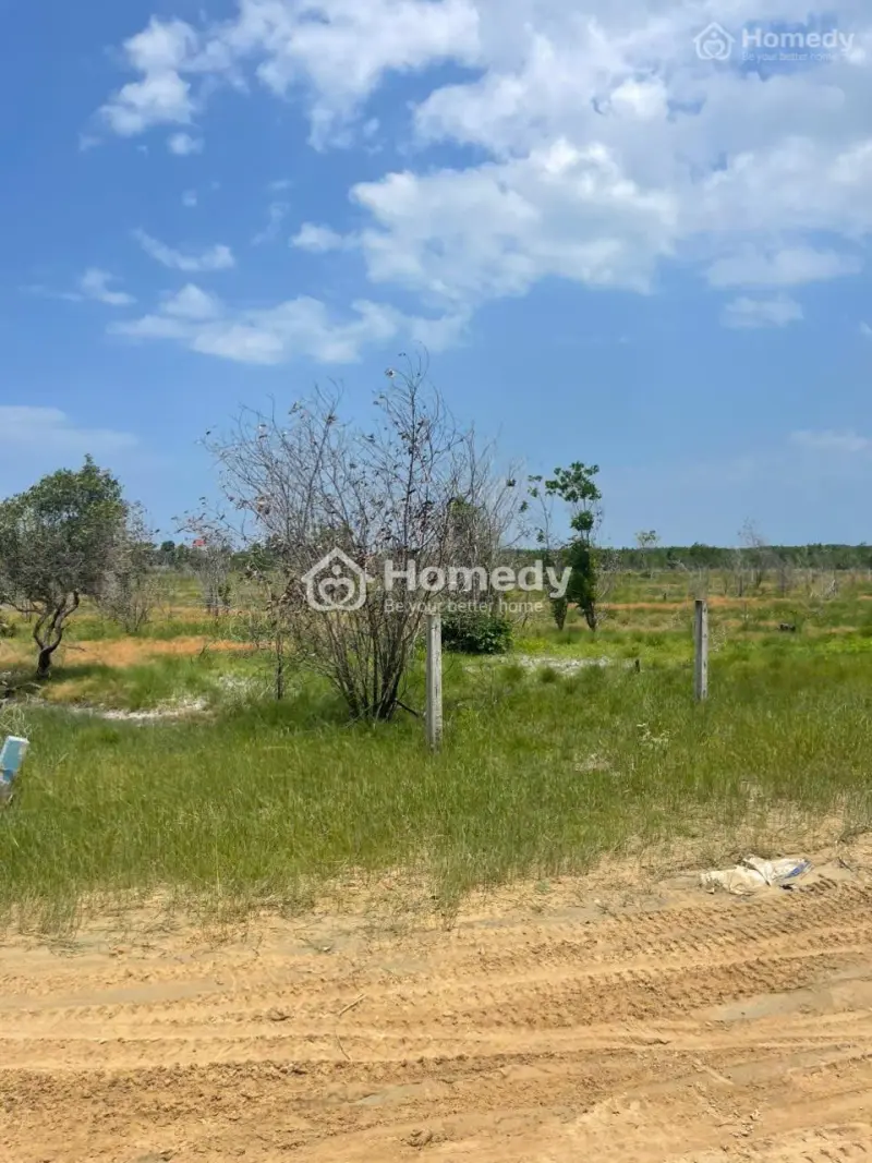 Bán 5949M2 Đất Đường Số 1 - Tân Bình - Lagi Giá Ngộp 1.14 Tỷ/ Sào Gần Biển