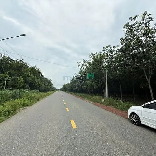 Cần Bán Đât Mặt Tiền Dt749B Minh Hòa, Dầu Tiếng, Bình Dương, 2Ha2