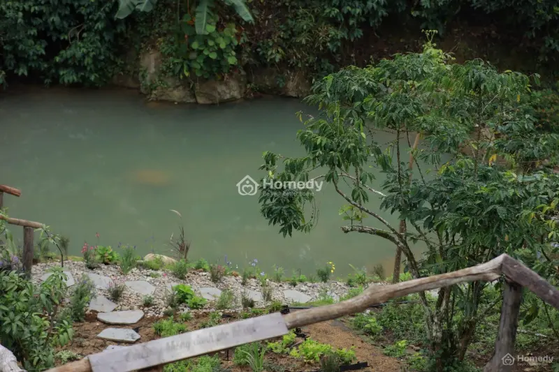 6029956 ảnh đại diện 1