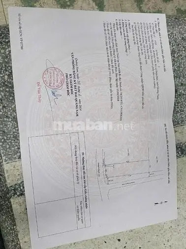 6030033 ảnh đại diện 1