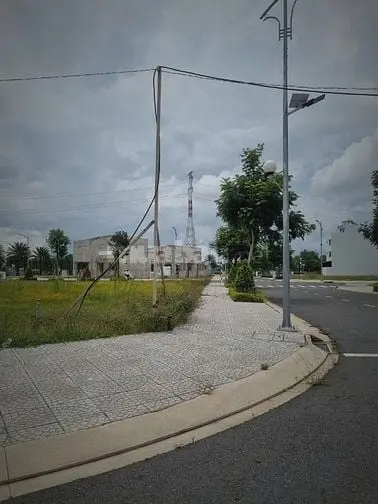6030007 ảnh đại diện 1