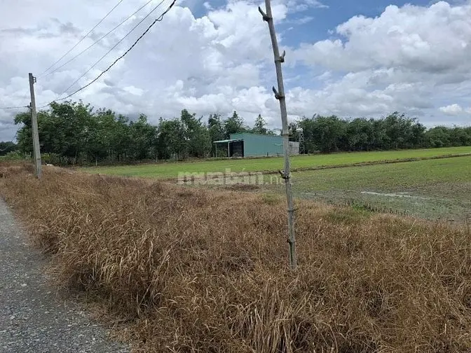 30X145 Có Thổ Cư. Đường Thông Ngay Kcn Phước Đông. 167Tr (1M)