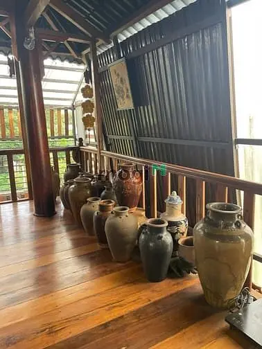 6029875 ảnh đại diện 1