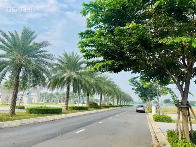 6030107 ảnh đại diện 1