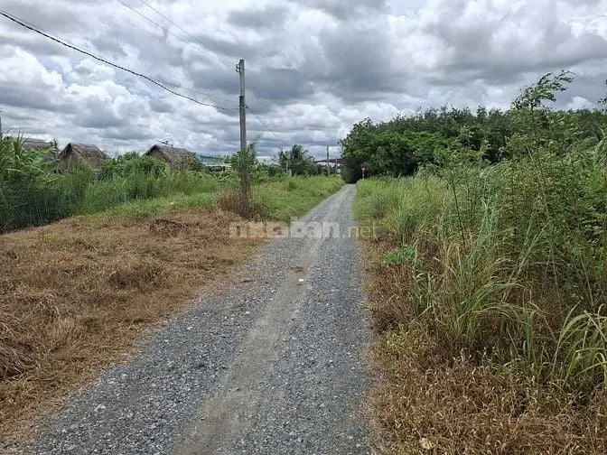 6030221 ảnh đại diện 1