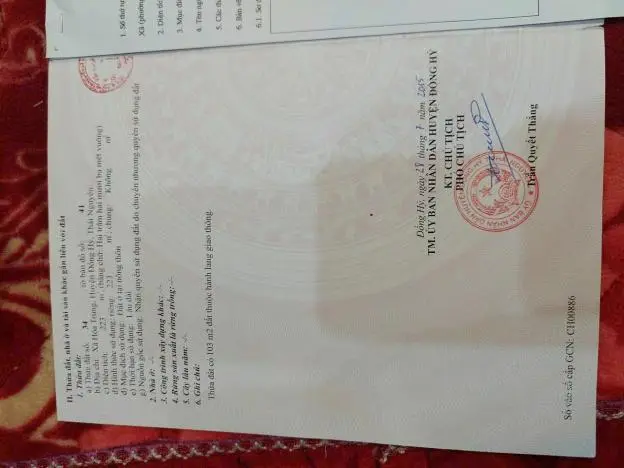 6030251 ảnh đại diện 1