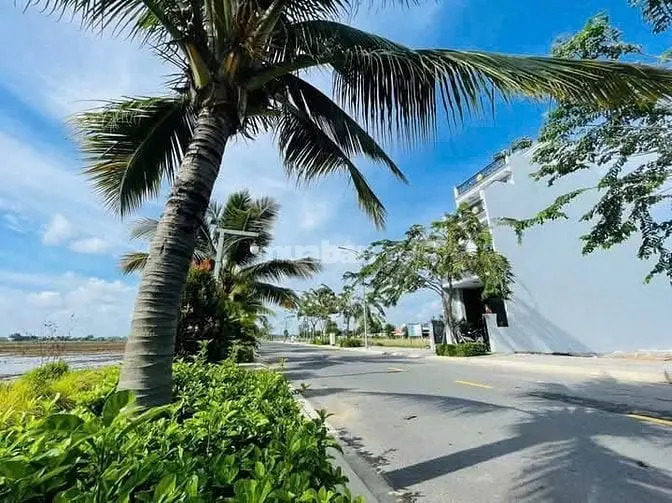 6030006 ảnh đại diện 1