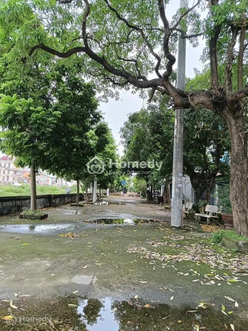 Đất Khu Cư Dân Quy Hoạch Rừng Vĩnh Quỳnh Ngõ Thông Ô Tô Đỗ Cửa