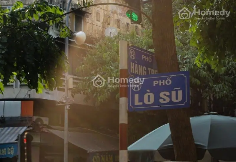 6030420 ảnh đại diện 1