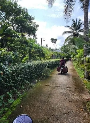 6030325 ảnh đại diện 1
