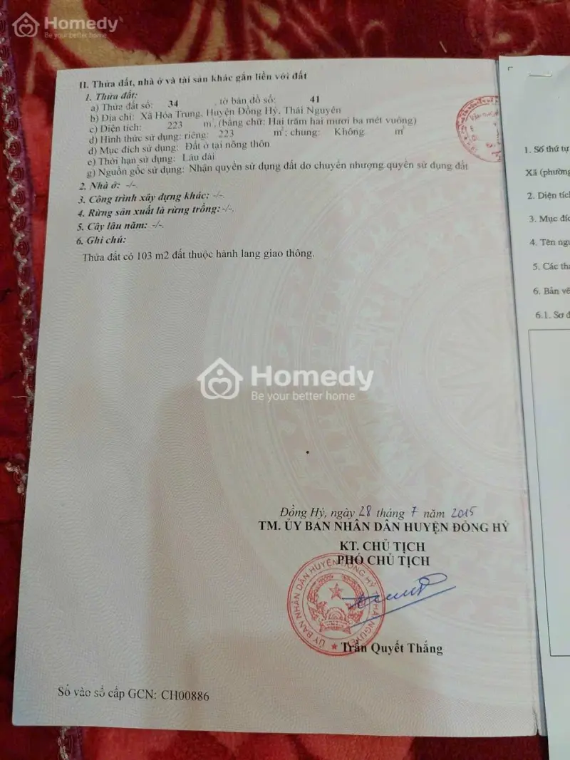 6030317 ảnh đại diện 1