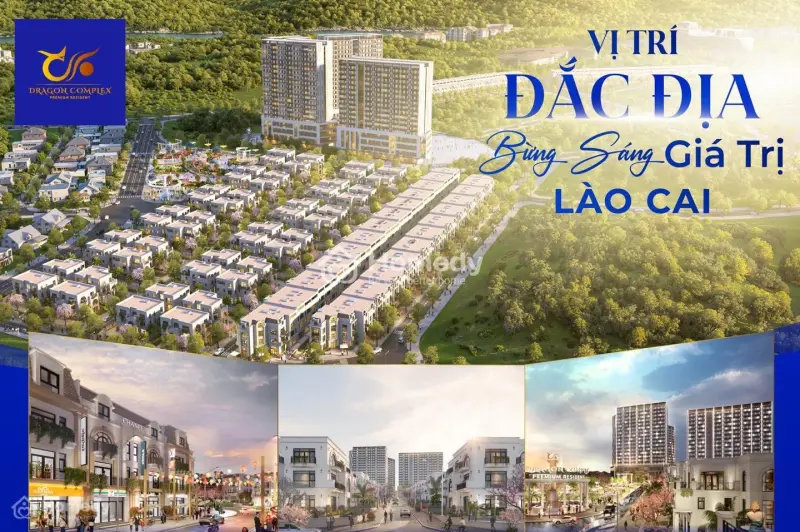 6030561 ảnh đại diện 1