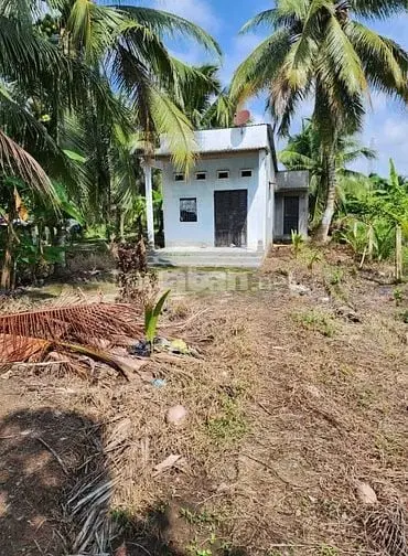 Bán Nhà Đất Trồng Cây Lâu Năm ( Dừa ) Thị Trấn Châu Thành Bến Tre