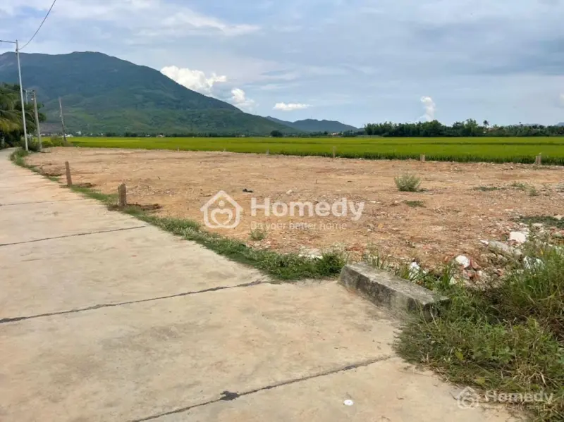 6030314 ảnh đại diện 1