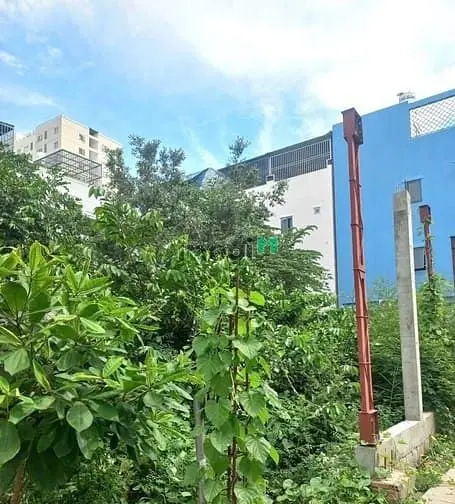 6030665 ảnh đại diện 1