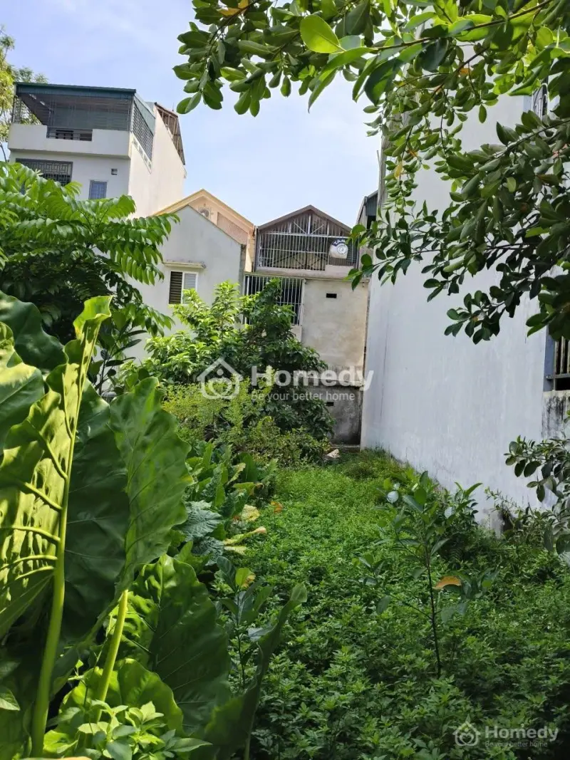 Bán Thổ Cư Tt Tây Đằng, Dt100M2, Mt5M, 2 Mặt Thoáng, 4 Tỷ Ba Vì