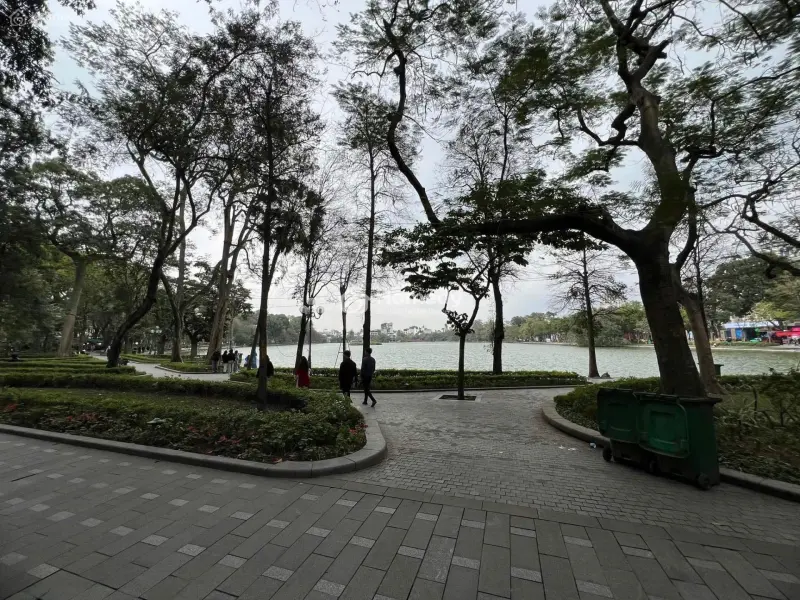 Binhbds Cho Thuê Nhà Mặt Phố Hàng Khay Hoàn Kiếm