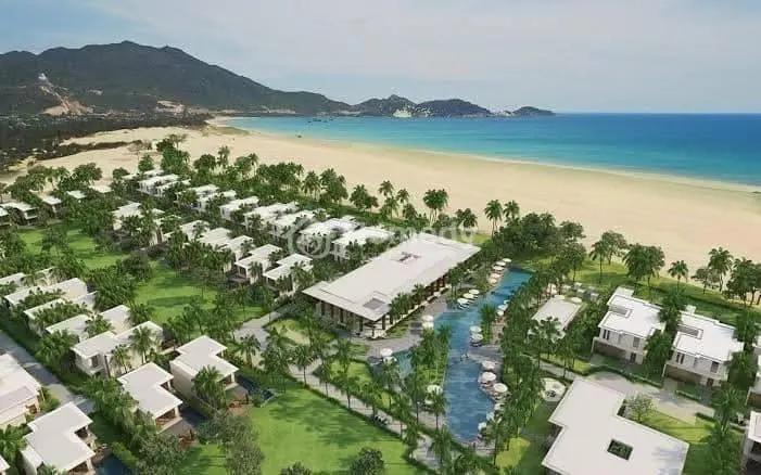 6030432 ảnh đại diện 1
