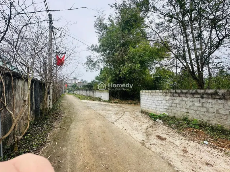 6030729 ảnh đại diện 1