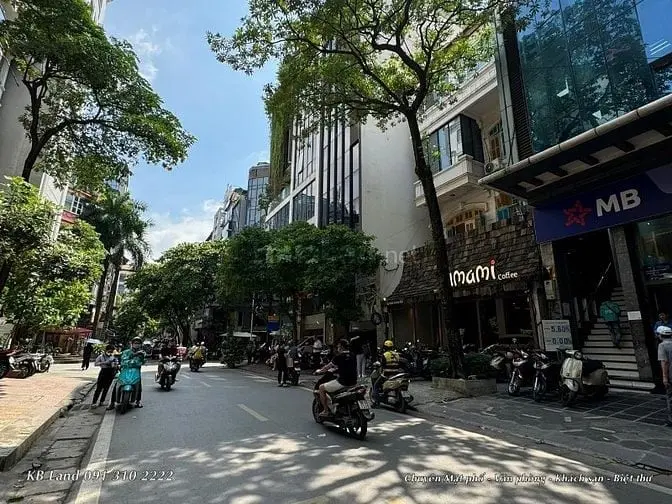 Cho Thuê Phòng Ngõ 168 Hào Nam- Cát Linh Oto Dt 20-25M 3,6Tr/1Th .