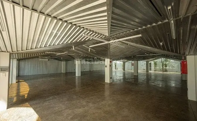 6030704 ảnh đại diện 1