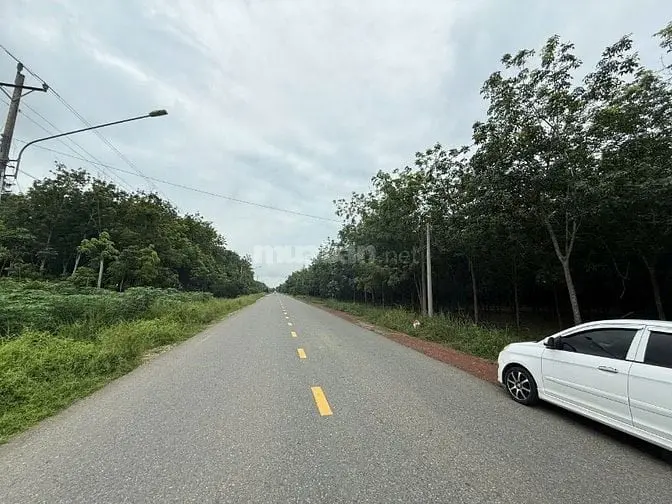 Cần Bán Đât Mặt Tiền Dt749B Minh Hòa, Dầu Tiếng, Bình Dương, 2Ha2