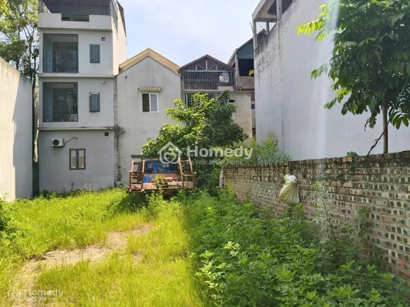 6030370 ảnh đại diện 1