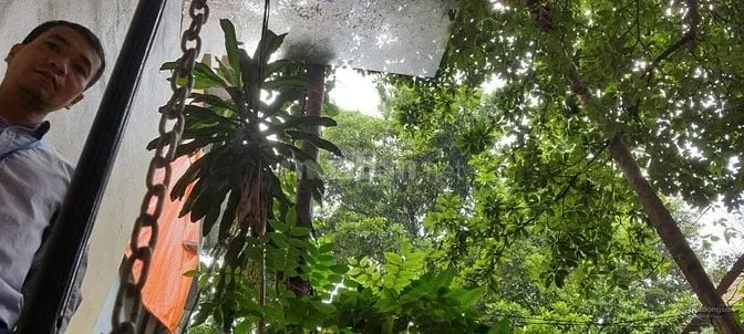 Cho Thuê Nhà Thanh Xuân, Hà Nội