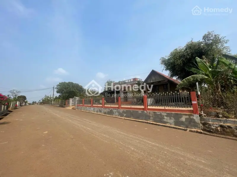 6030851 ảnh đại diện 1