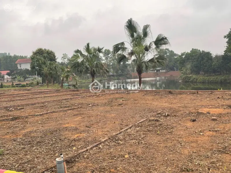 Siêu Phẩm View Hồ Cực Hót, Nằm Ngay Sát Sân Golf Đồng Mô, Giá Chỉ Từ 1,8 Tỷ!